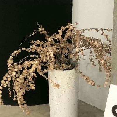 克拉玛依FurryQQ群介绍